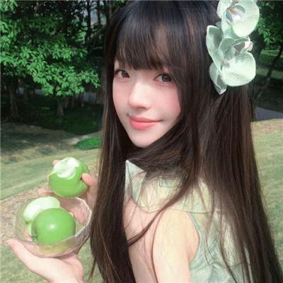 加菲猫2